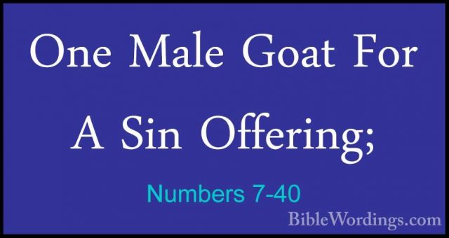 Numbers 7-40 - One Male Goat For A Sin Offering;One Male Goat For A Sin Offering; 