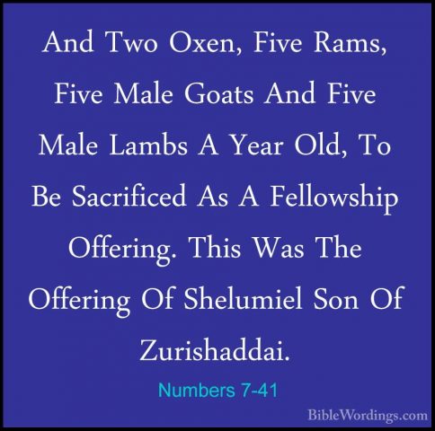 Numbers 7-41 - And Two Oxen, Five Rams, Five Male Goats And FiveAnd Two Oxen, Five Rams, Five Male Goats And Five Male Lambs A Year Old, To Be Sacrificed As A Fellowship Offering. This Was The Offering Of Shelumiel Son Of Zurishaddai. 
