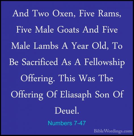 Numbers 7-47 - And Two Oxen, Five Rams, Five Male Goats And FiveAnd Two Oxen, Five Rams, Five Male Goats And Five Male Lambs A Year Old, To Be Sacrificed As A Fellowship Offering. This Was The Offering Of Eliasaph Son Of Deuel. 