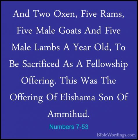 Numbers 7-53 - And Two Oxen, Five Rams, Five Male Goats And FiveAnd Two Oxen, Five Rams, Five Male Goats And Five Male Lambs A Year Old, To Be Sacrificed As A Fellowship Offering. This Was The Offering Of Elishama Son Of Ammihud. 