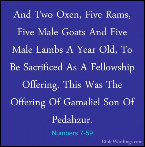 Numbers 7-59 - And Two Oxen, Five Rams, Five Male Goats And FiveAnd Two Oxen, Five Rams, Five Male Goats And Five Male Lambs A Year Old, To Be Sacrificed As A Fellowship Offering. This Was The Offering Of Gamaliel Son Of Pedahzur. 