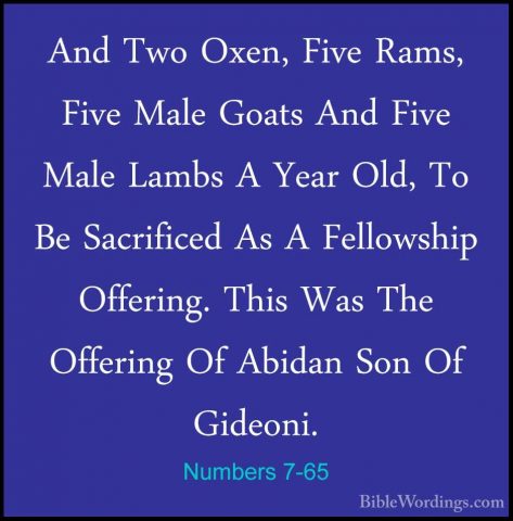 Numbers 7-65 - And Two Oxen, Five Rams, Five Male Goats And FiveAnd Two Oxen, Five Rams, Five Male Goats And Five Male Lambs A Year Old, To Be Sacrificed As A Fellowship Offering. This Was The Offering Of Abidan Son Of Gideoni. 
