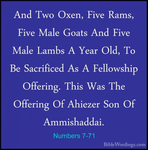 Numbers 7-71 - And Two Oxen, Five Rams, Five Male Goats And FiveAnd Two Oxen, Five Rams, Five Male Goats And Five Male Lambs A Year Old, To Be Sacrificed As A Fellowship Offering. This Was The Offering Of Ahiezer Son Of Ammishaddai. 