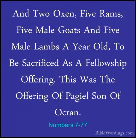 Numbers 7-77 - And Two Oxen, Five Rams, Five Male Goats And FiveAnd Two Oxen, Five Rams, Five Male Goats And Five Male Lambs A Year Old, To Be Sacrificed As A Fellowship Offering. This Was The Offering Of Pagiel Son Of Ocran. 