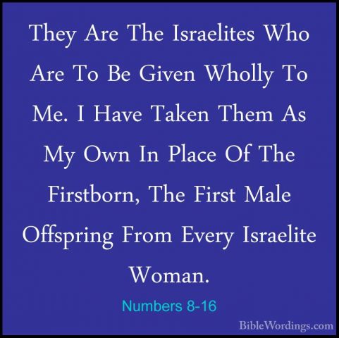 Numbers 8-16 - They Are The Israelites Who Are To Be Given WhollyThey Are The Israelites Who Are To Be Given Wholly To Me. I Have Taken Them As My Own In Place Of The Firstborn, The First Male Offspring From Every Israelite Woman. 