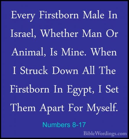Numbers 8-17 - Every Firstborn Male In Israel, Whether Man Or AniEvery Firstborn Male In Israel, Whether Man Or Animal, Is Mine. When I Struck Down All The Firstborn In Egypt, I Set Them Apart For Myself. 