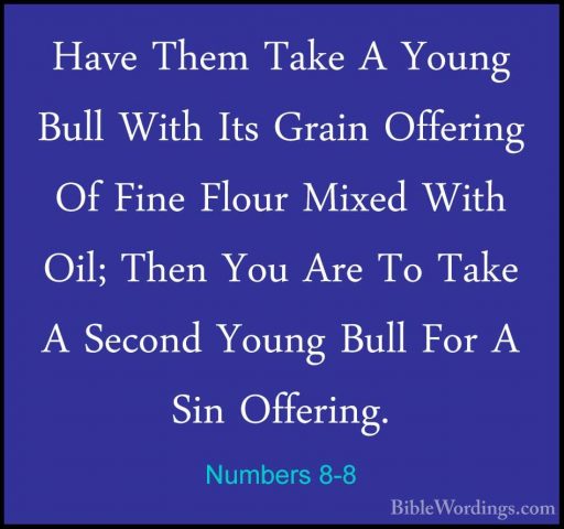 Numbers 8-8 - Have Them Take A Young Bull With Its Grain OfferingHave Them Take A Young Bull With Its Grain Offering Of Fine Flour Mixed With Oil; Then You Are To Take A Second Young Bull For A Sin Offering. 