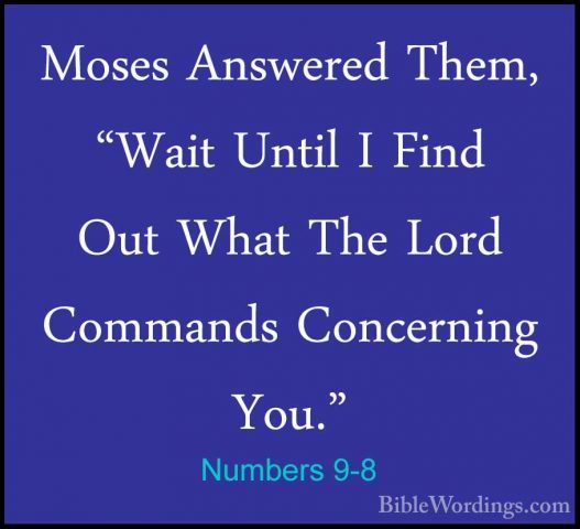 Numbers 9-8 - Moses Answered Them, "Wait Until I Find Out What ThMoses Answered Them, "Wait Until I Find Out What The Lord Commands Concerning You." 