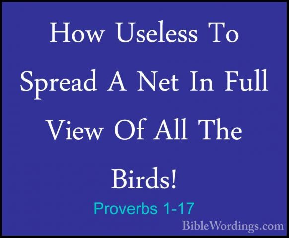 Proverbs 1-17 - How Useless To Spread A Net In Full View Of All THow Useless To Spread A Net In Full View Of All The Birds! 