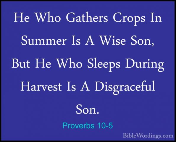 Proverbs 10-5 - He Who Gathers Crops In Summer Is A Wise Son, ButHe Who Gathers Crops In Summer Is A Wise Son, But He Who Sleeps During Harvest Is A Disgraceful Son. 
