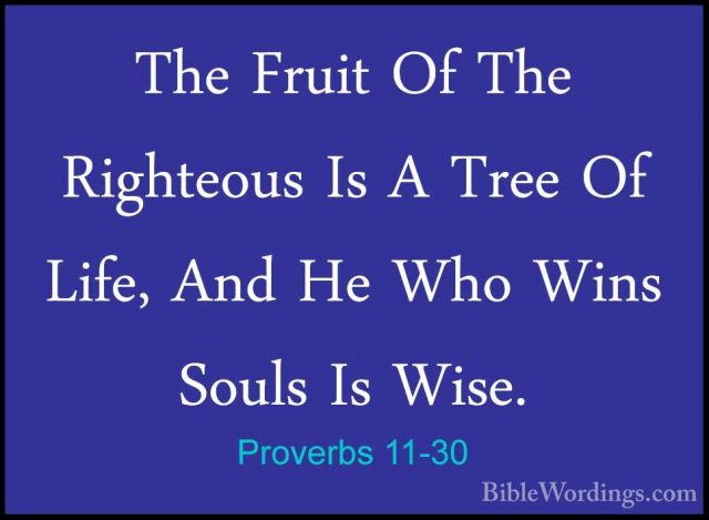 Proverbs 11-30 - The Fruit Of The Righteous Is A Tree Of Life, AnThe Fruit Of The Righteous Is A Tree Of Life, And He Who Wins Souls Is Wise. 