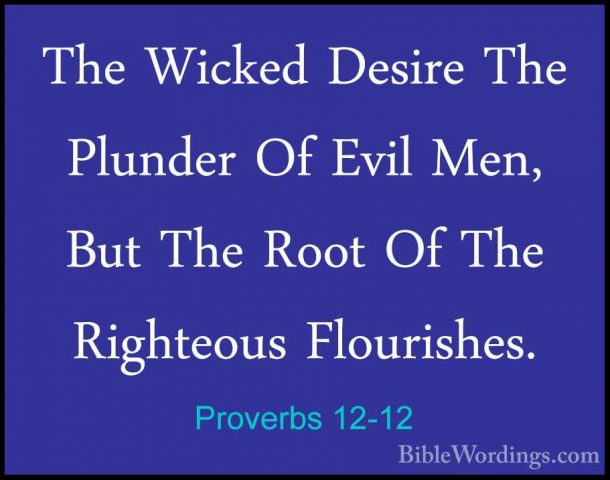 Proverbs 12-12 - The Wicked Desire The Plunder Of Evil Men, But TThe Wicked Desire The Plunder Of Evil Men, But The Root Of The Righteous Flourishes. 