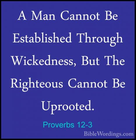 Proverbs 12-3 - A Man Cannot Be Established Through Wickedness, BA Man Cannot Be Established Through Wickedness, But The Righteous Cannot Be Uprooted. 