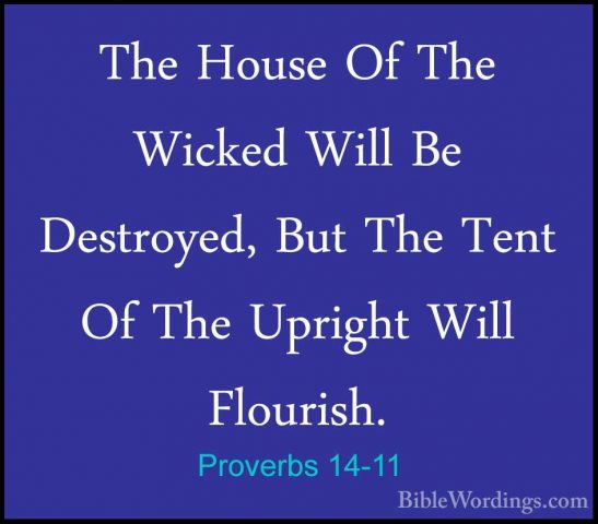 Proverbs 14-11 - The House Of The Wicked Will Be Destroyed, But TThe House Of The Wicked Will Be Destroyed, But The Tent Of The Upright Will Flourish. 