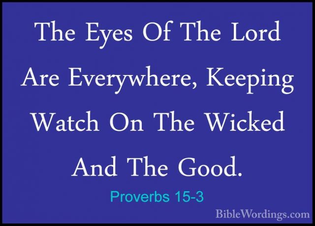 Proverbs 15-3 - The Eyes Of The Lord Are Everywhere, Keeping WatcThe Eyes Of The Lord Are Everywhere, Keeping Watch On The Wicked And The Good. 