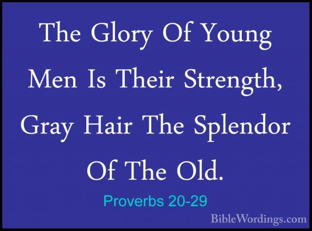Proverbs 20-29 - The Glory Of Young Men Is Their Strength, Gray HThe Glory Of Young Men Is Their Strength, Gray Hair The Splendor Of The Old. 