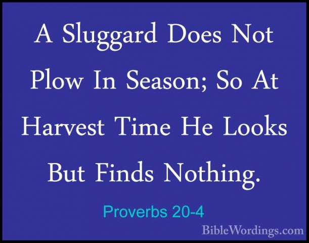 Proverbs 20-4 - A Sluggard Does Not Plow In Season; So At HarvestA Sluggard Does Not Plow In Season; So At Harvest Time He Looks But Finds Nothing. 