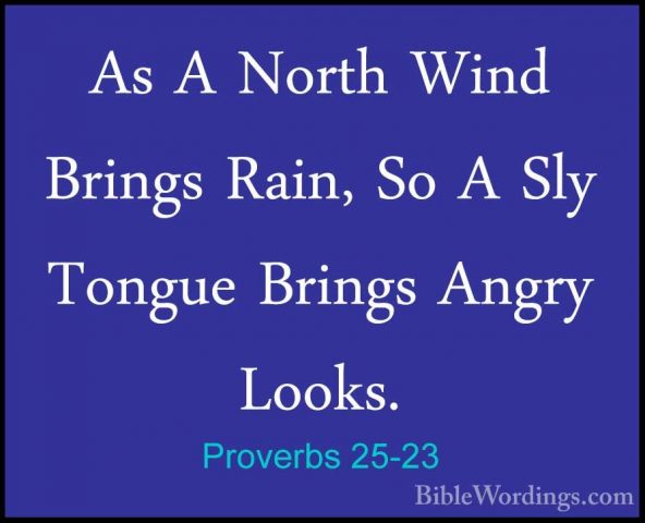 Proverbs 25-23 - As A North Wind Brings Rain, So A Sly Tongue BriAs A North Wind Brings Rain, So A Sly Tongue Brings Angry Looks. 