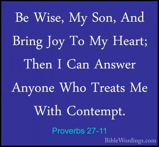 Proverbs 27-11 - Be Wise, My Son, And Bring Joy To My Heart; ThenBe Wise, My Son, And Bring Joy To My Heart; Then I Can Answer Anyone Who Treats Me With Contempt. 