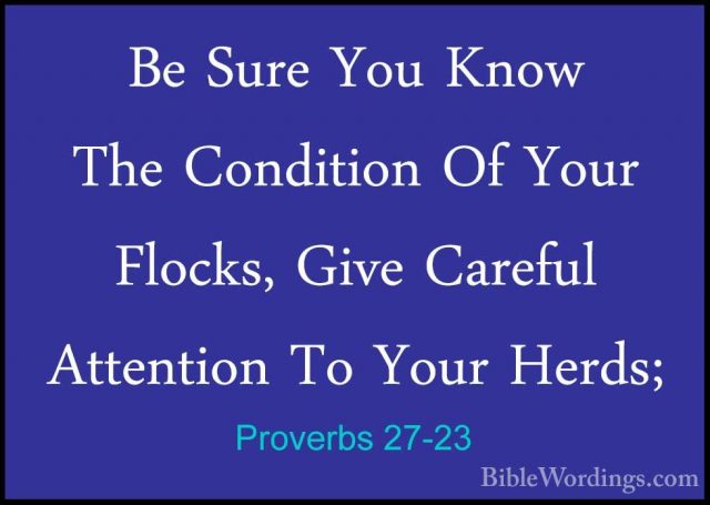 Proverbs 27-23 - Be Sure You Know The Condition Of Your Flocks, GBe Sure You Know The Condition Of Your Flocks, Give Careful Attention To Your Herds; 