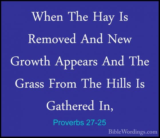 Proverbs 27-25 - When The Hay Is Removed And New Growth Appears AWhen The Hay Is Removed And New Growth Appears And The Grass From The Hills Is Gathered In, 