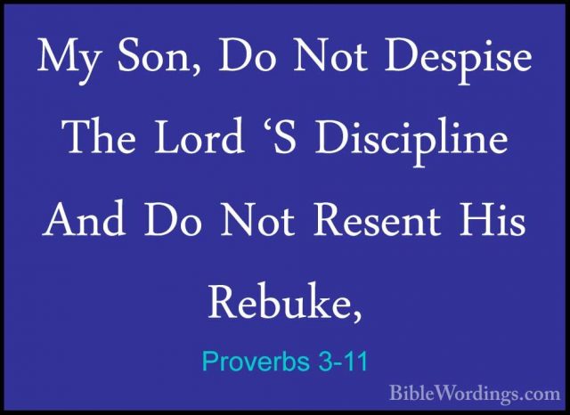 Proverbs 3-11 - My Son, Do Not Despise The Lord 'S Discipline AndMy Son, Do Not Despise The Lord 'S Discipline And Do Not Resent His Rebuke, 