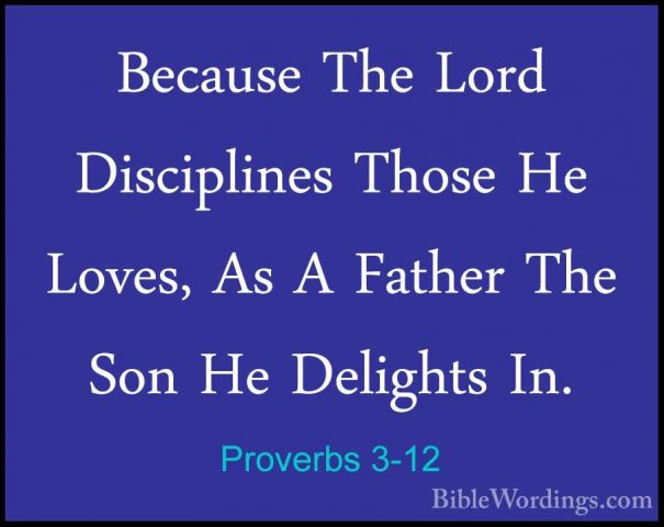 Proverbs 3-12 - Because The Lord Disciplines Those He Loves, As ABecause The Lord Disciplines Those He Loves, As A Father The Son He Delights In. 