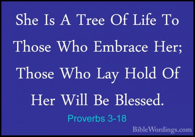 Proverbs 3-18 - She Is A Tree Of Life To Those Who Embrace Her; TShe Is A Tree Of Life To Those Who Embrace Her; Those Who Lay Hold Of Her Will Be Blessed. 