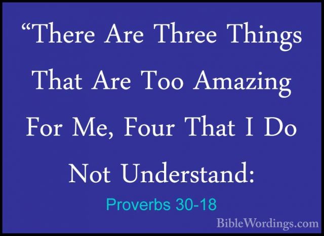 Proverbs 30-18 - "There Are Three Things That Are Too Amazing For"There Are Three Things That Are Too Amazing For Me, Four That I Do Not Understand: 