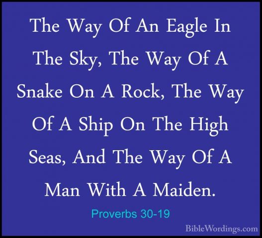 Proverbs 30-19 - The Way Of An Eagle In The Sky, The Way Of A SnaThe Way Of An Eagle In The Sky, The Way Of A Snake On A Rock, The Way Of A Ship On The High Seas, And The Way Of A Man With A Maiden. 