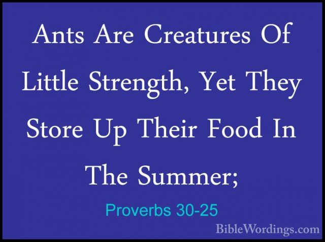 Proverbs 30-25 - Ants Are Creatures Of Little Strength, Yet TheyAnts Are Creatures Of Little Strength, Yet They Store Up Their Food In The Summer; 