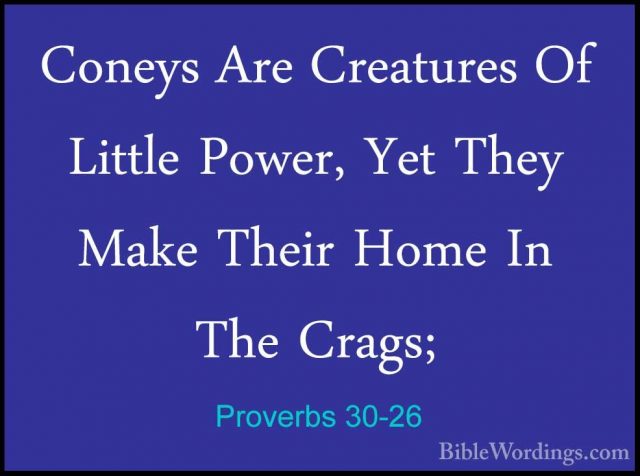Proverbs 30-26 - Coneys Are Creatures Of Little Power, Yet They MConeys Are Creatures Of Little Power, Yet They Make Their Home In The Crags; 