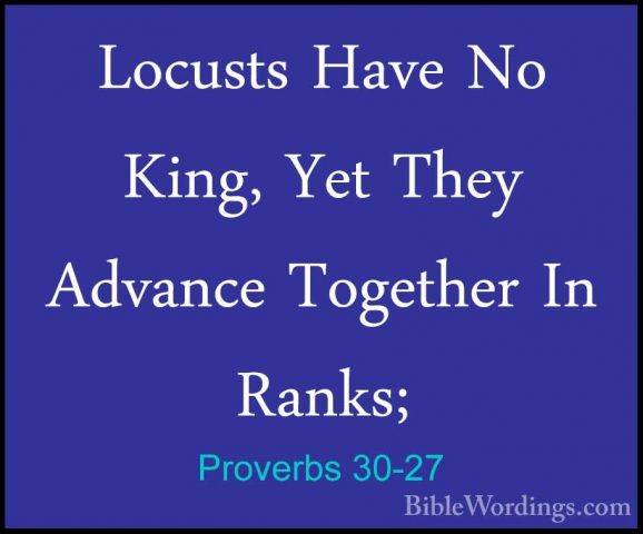 Proverbs 30-27 - Locusts Have No King, Yet They Advance TogetherLocusts Have No King, Yet They Advance Together In Ranks; 