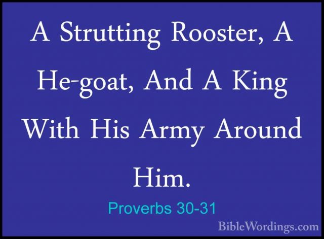 Proverbs 30-31 - A Strutting Rooster, A He-goat, And A King WithA Strutting Rooster, A He-goat, And A King With His Army Around Him. 