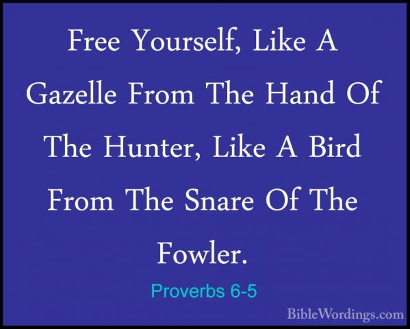 Proverbs 6-5 - Free Yourself, Like A Gazelle From The Hand Of TheFree Yourself, Like A Gazelle From The Hand Of The Hunter, Like A Bird From The Snare Of The Fowler. 