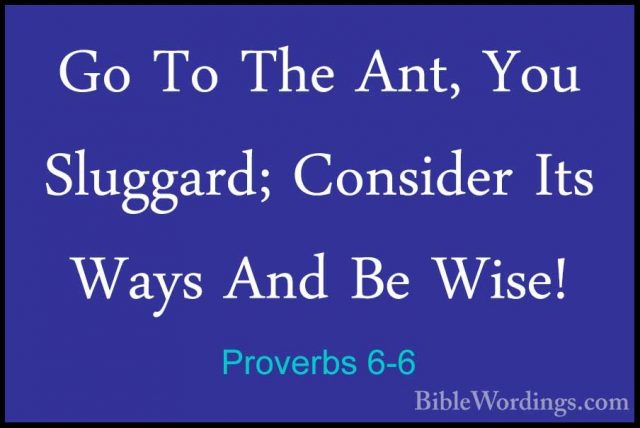 Proverbs 6-6 - Go To The Ant, You Sluggard; Consider Its Ways AndGo To The Ant, You Sluggard; Consider Its Ways And Be Wise! 