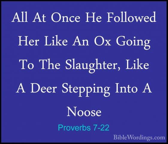 Proverbs 7-22 - All At Once He Followed Her Like An Ox Going To TAll At Once He Followed Her Like An Ox Going To The Slaughter, Like A Deer Stepping Into A Noose 
