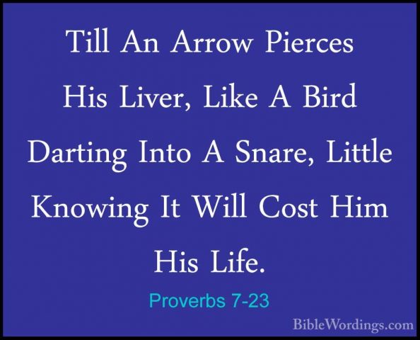 Proverbs 7-23 - Till An Arrow Pierces His Liver, Like A Bird DartTill An Arrow Pierces His Liver, Like A Bird Darting Into A Snare, Little Knowing It Will Cost Him His Life. 