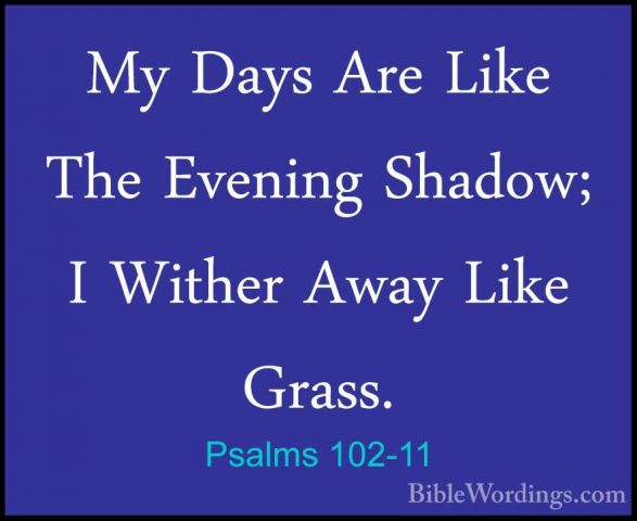 Psalms 102-11 - My Days Are Like The Evening Shadow; I Wither AwaMy Days Are Like The Evening Shadow; I Wither Away Like Grass. 
