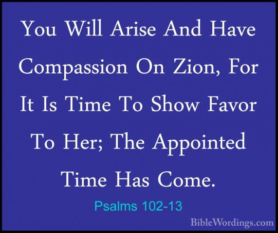 Psalms 102-13 - You Will Arise And Have Compassion On Zion, For IYou Will Arise And Have Compassion On Zion, For It Is Time To Show Favor To Her; The Appointed Time Has Come. 