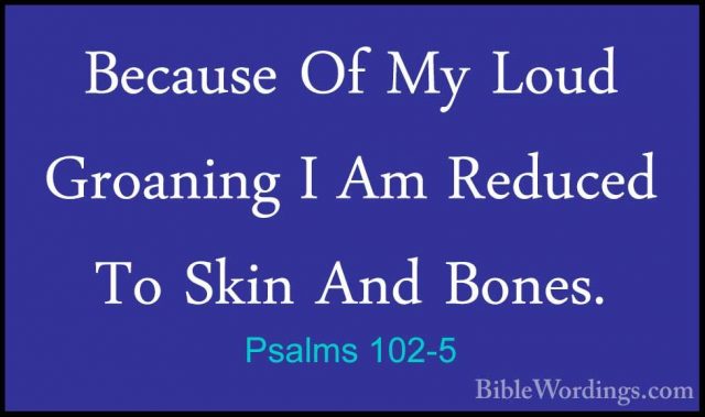 Psalms 102-5 - Because Of My Loud Groaning I Am Reduced To Skin ABecause Of My Loud Groaning I Am Reduced To Skin And Bones. 