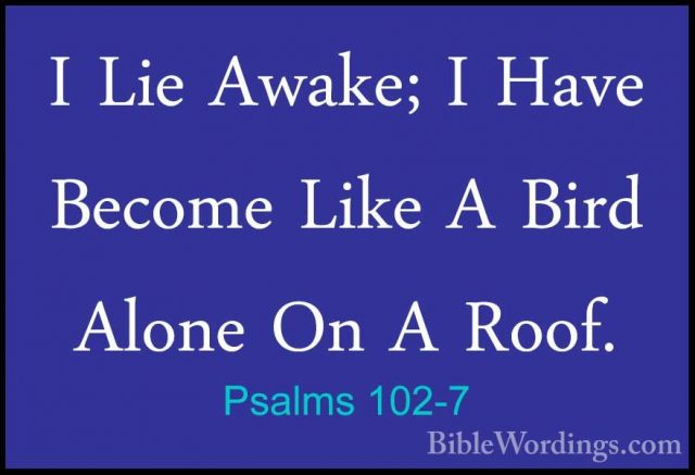 Psalms 102-7 - I Lie Awake; I Have Become Like A Bird Alone On AI Lie Awake; I Have Become Like A Bird Alone On A Roof. 