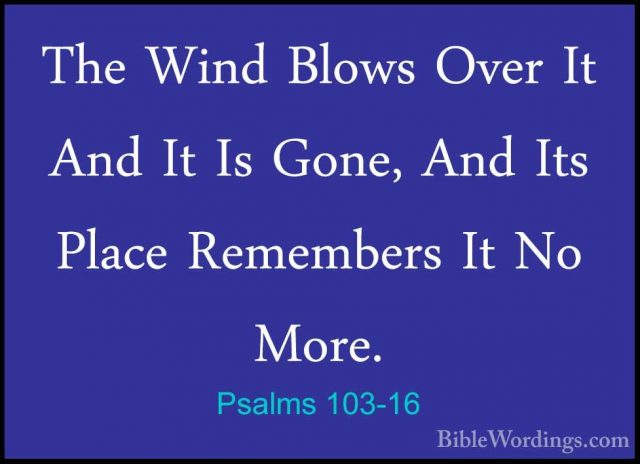 Psalms 103-16 - The Wind Blows Over It And It Is Gone, And Its PlThe Wind Blows Over It And It Is Gone, And Its Place Remembers It No More. 