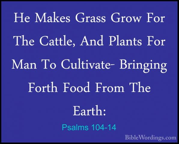 Psalms 104-14 - He Makes Grass Grow For The Cattle, And Plants FoHe Makes Grass Grow For The Cattle, And Plants For Man To Cultivate- Bringing Forth Food From The Earth: 
