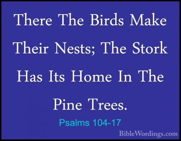 Psalms 104-17 - There The Birds Make Their Nests; The Stork Has IThere The Birds Make Their Nests; The Stork Has Its Home In The Pine Trees. 