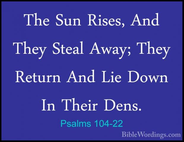 Psalms 104-22 - The Sun Rises, And They Steal Away; They Return AThe Sun Rises, And They Steal Away; They Return And Lie Down In Their Dens. 