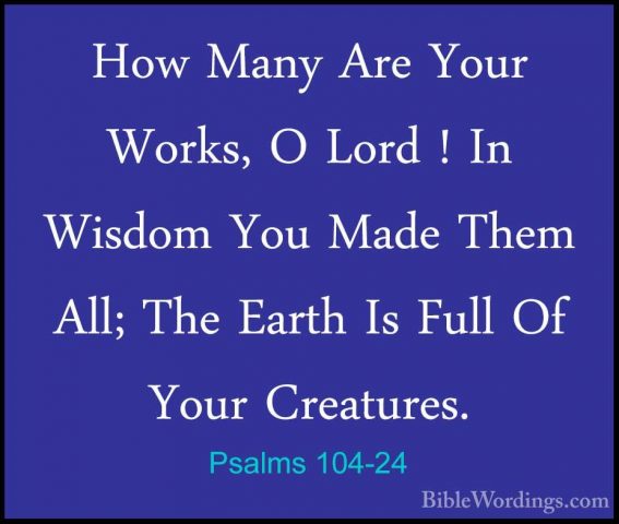 Psalms 104-24 - How Many Are Your Works, O Lord ! In Wisdom You MHow Many Are Your Works, O Lord ! In Wisdom You Made Them All; The Earth Is Full Of Your Creatures. 