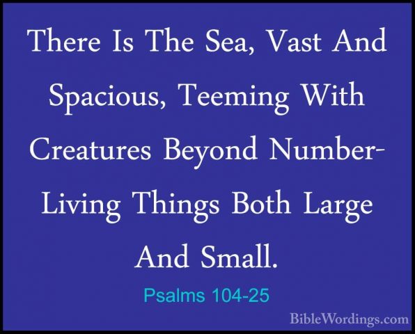 Psalms 104-25 - There Is The Sea, Vast And Spacious, Teeming WithThere Is The Sea, Vast And Spacious, Teeming With Creatures Beyond Number- Living Things Both Large And Small. 