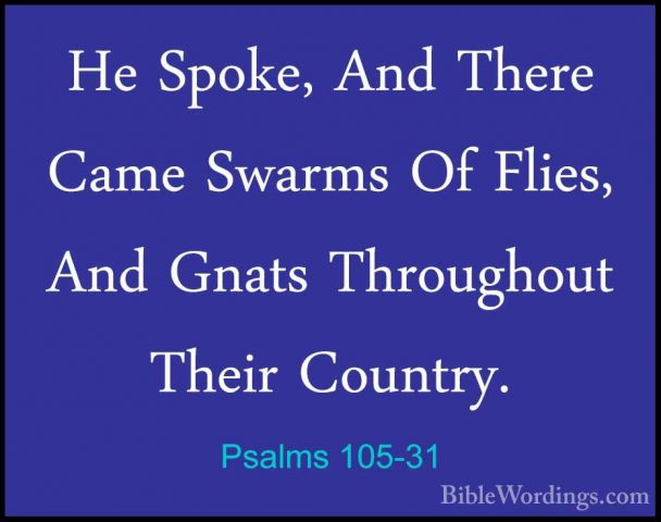 Psalms 105-31 - He Spoke, And There Came Swarms Of Flies, And GnaHe Spoke, And There Came Swarms Of Flies, And Gnats Throughout Their Country. 