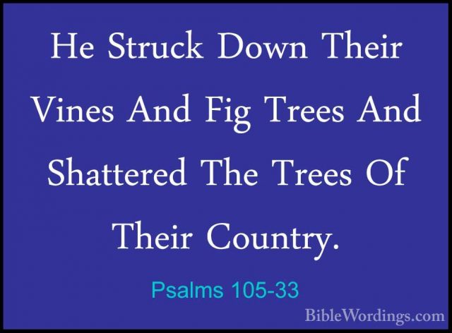 Psalms 105-33 - He Struck Down Their Vines And Fig Trees And ShatHe Struck Down Their Vines And Fig Trees And Shattered The Trees Of Their Country. 